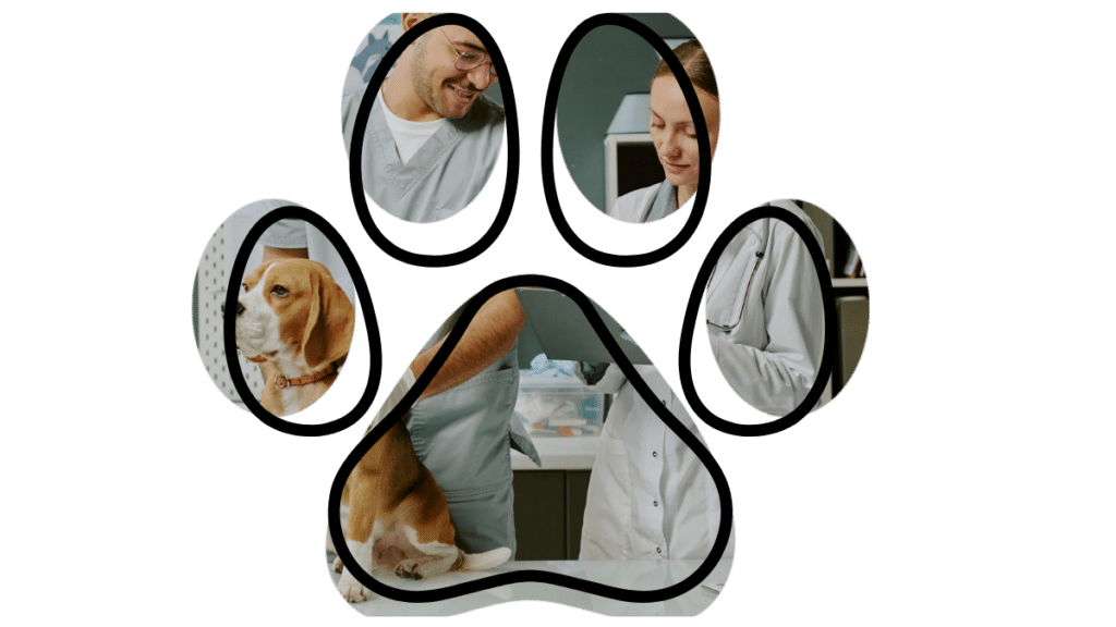 Preventive vet care near me in Jupiter Florida