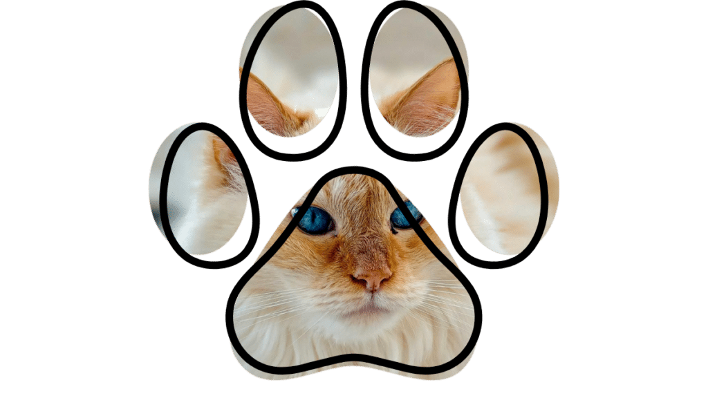 Local vet near me serving Jupiter pets