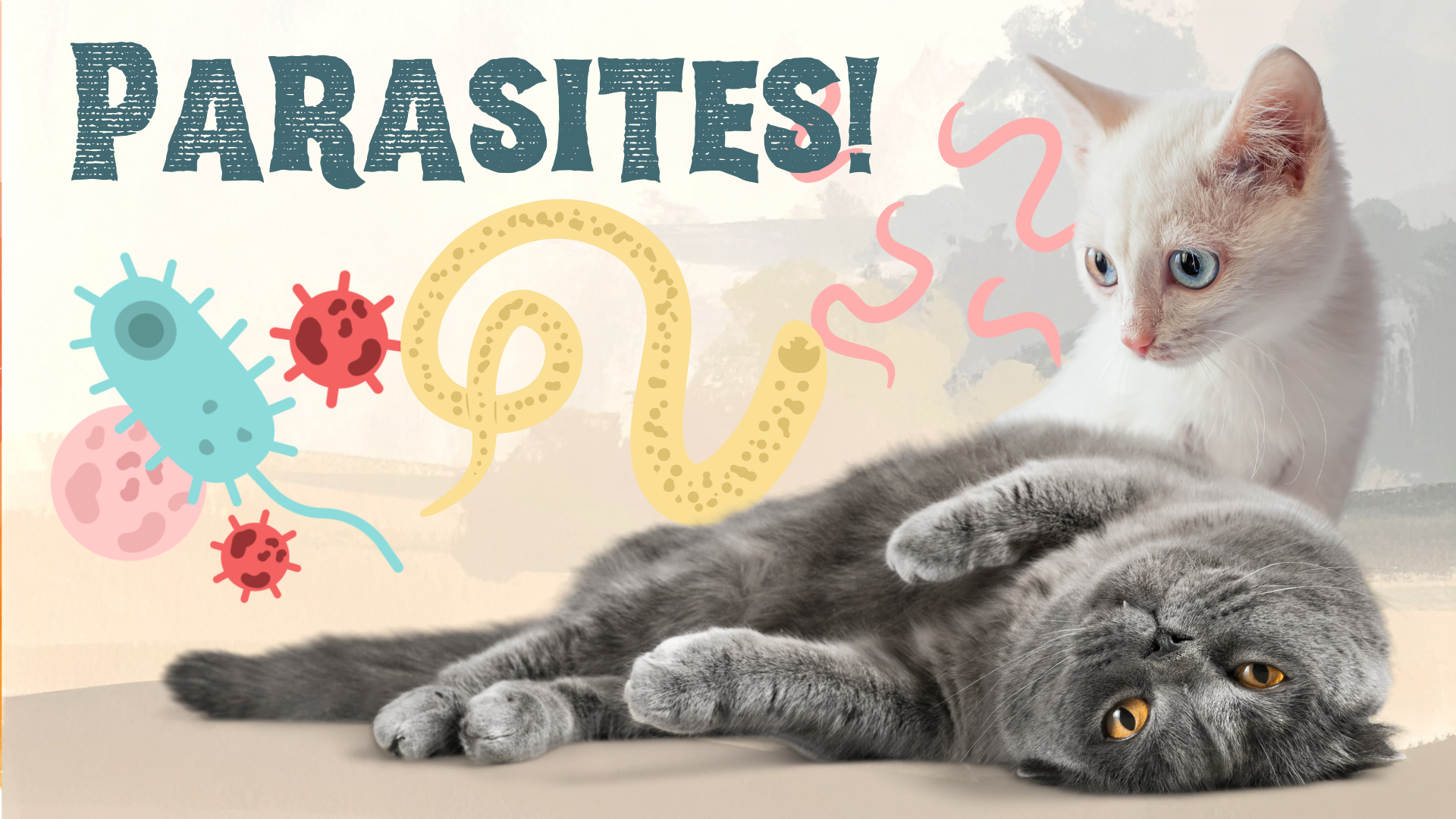 veterinarian examining dog for fleas and ticks during parasite check at Jupiter Veterinary Hospital and Urgent Care in Jupiter FL