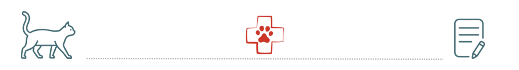 pet insurance wellness care Jupiter Veterinary Hospital and Urgent Care Jupiter FL