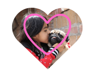Urgent care vet in Jupiter, FL providing compassionate emergency support for pets