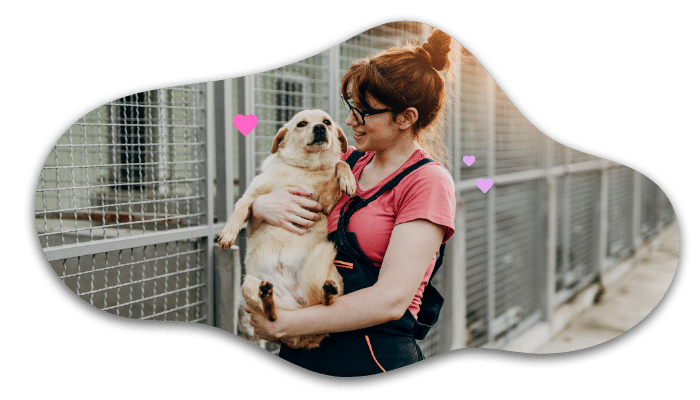 Shelter dog adoption supported by Jupiter Veterinary Hospital & Urgent Care in Jupiter, FL