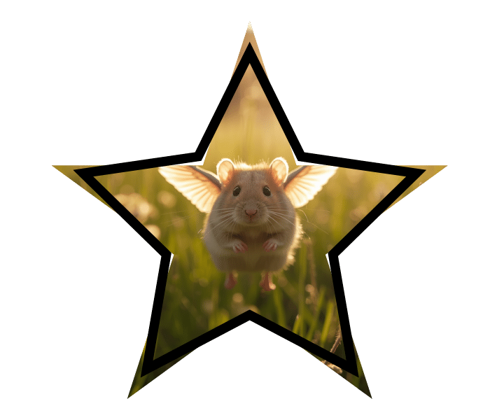 Mythical hamster with wings representing animal care myths for pocket pets in Jupiter, FL.