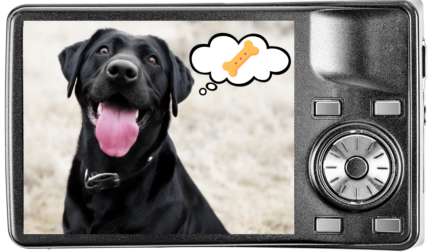 Digital camera screen showing a black dog thinking about treats